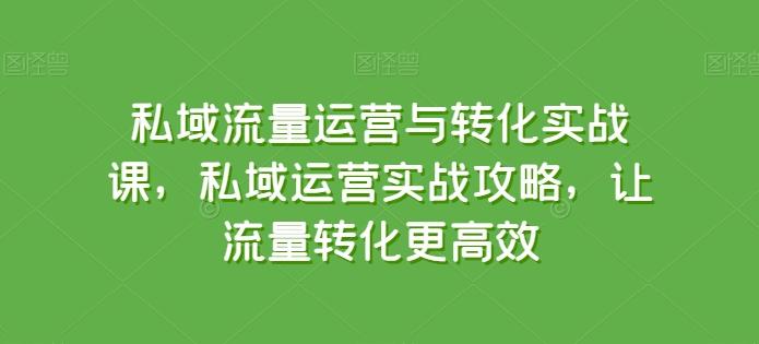 私域流量运营与转化实战课，私域运营实战攻略，让流量转化更高效-星火轻创