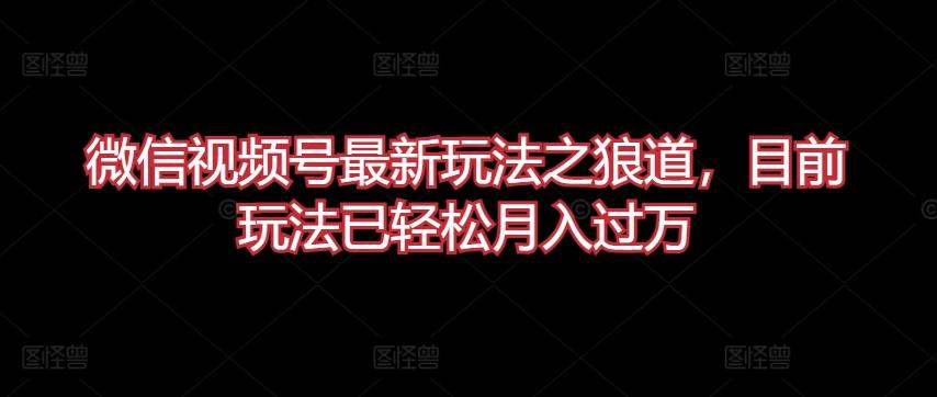 微信视频号最新玩法之狼道，目前玩法已轻松月入过万【揭秘】-星火轻创