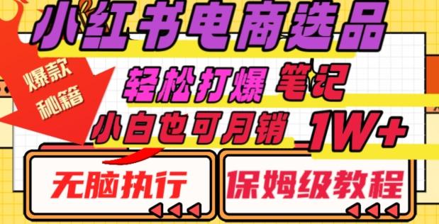 小红书电商爆款选品秘籍，帮你轻松打爆笔记，小白也可轻松月销10000+-星火轻创