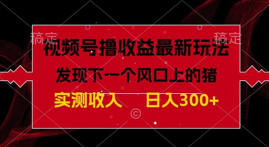 视频号分成计划最新玩法，单条作品几分钟制作完成,日入300+，过年前最后的冲刺-星火轻创