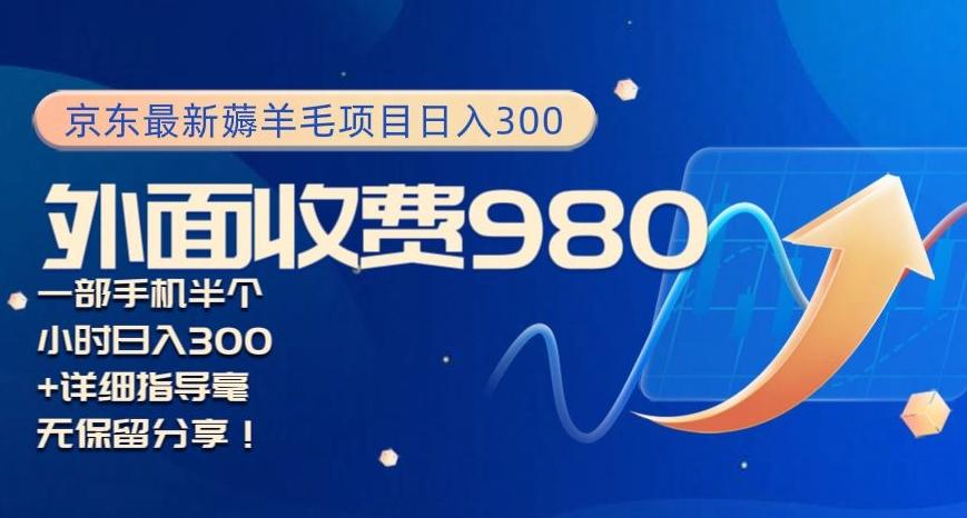 京东最新薅羊毛项目小白怎么做到日入300+一部手机半小时搞定-星火轻创