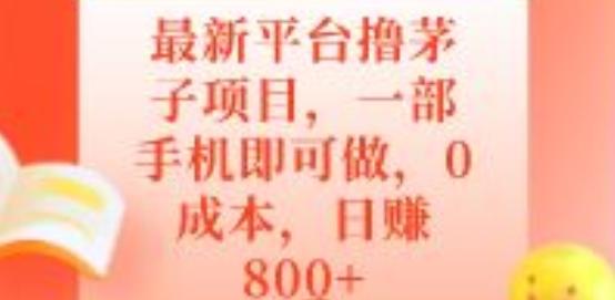 最新平台撸茅子项目，一部手机即可做，0成本，日赚800+-星火轻创