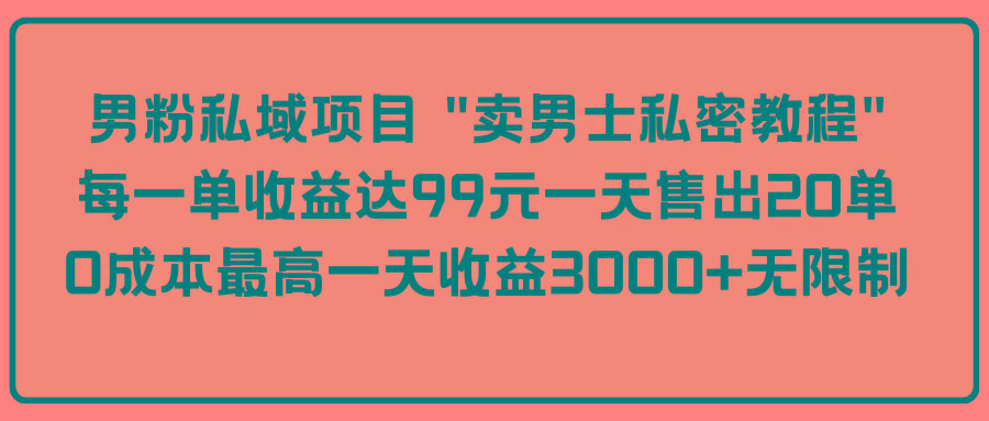 (9730期)男粉私域项目 “卖男士私密教程” 每一单收益达99元一天售出20单-星火轻创