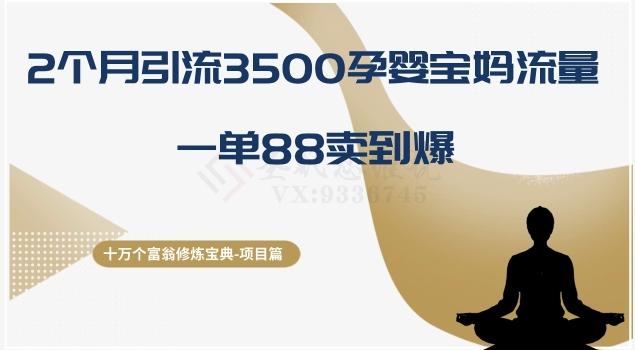 十万个富翁修炼宝典之13.2个月引流3500孕婴宝妈流量，一单88卖到爆-星火轻创