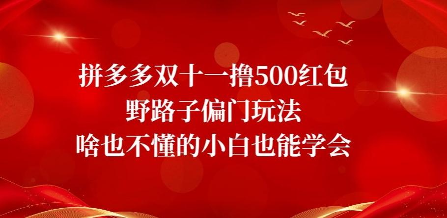 拼多多双十一撸500红包野路子偏门玩法，啥也不懂的小白也能学会【揭秘】-星火轻创